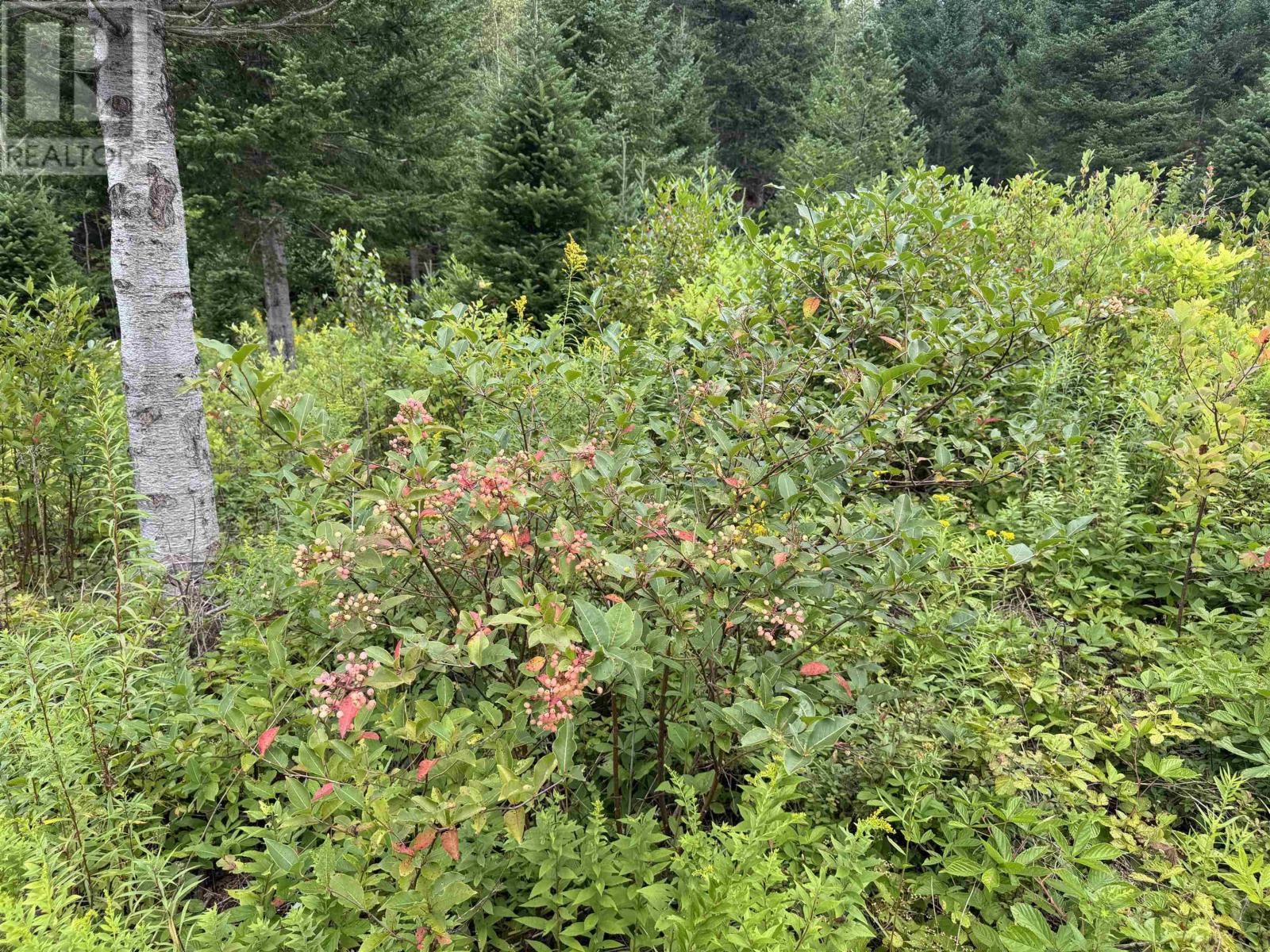 Lot A Hardwood Lake Road Property Photo 19