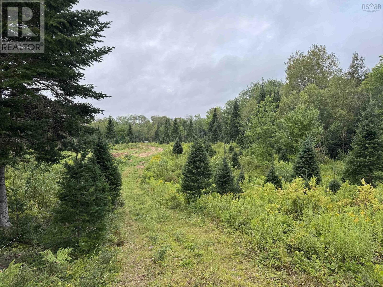 Lot A Hardwood Lake Road Property Photo 20