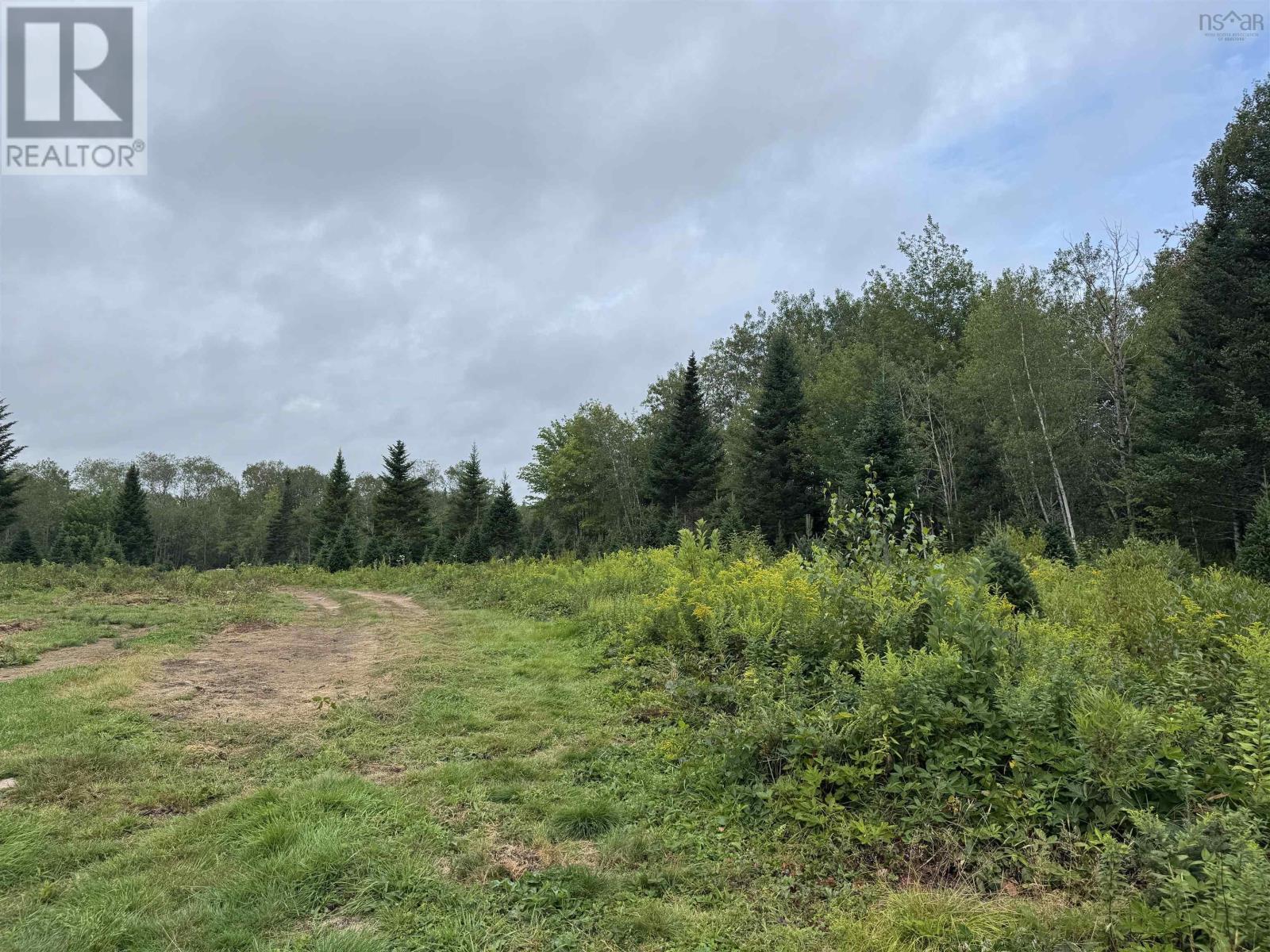 Lot A Hardwood Lake Road Property Photo 22