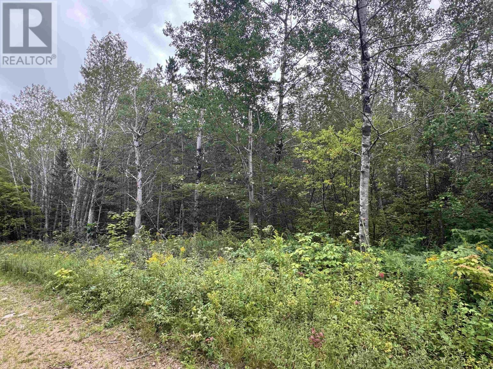Lot A Hardwood Lake Road Property Photo 23