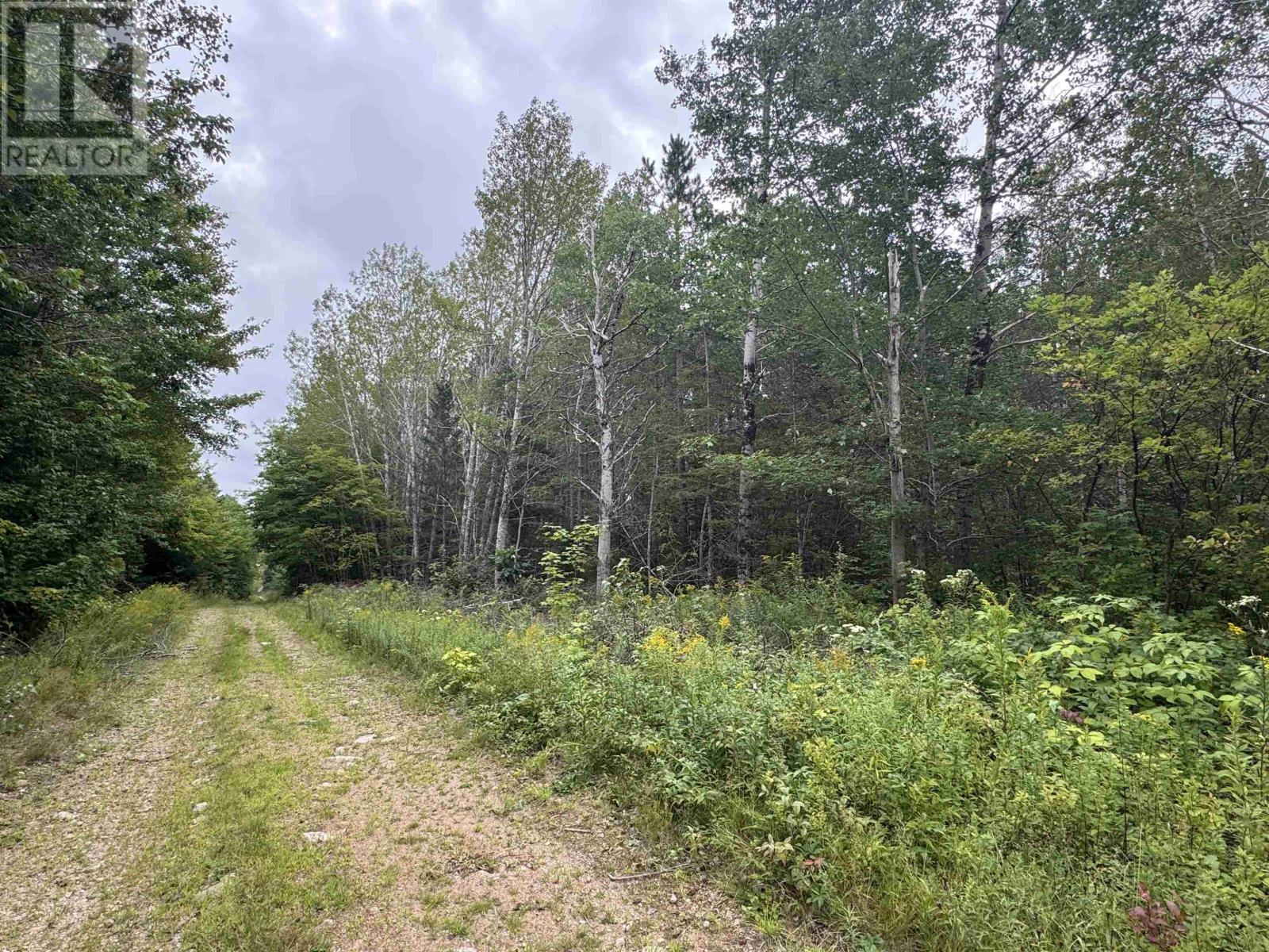 Lot A Hardwood Lake Road Property Photo 24
