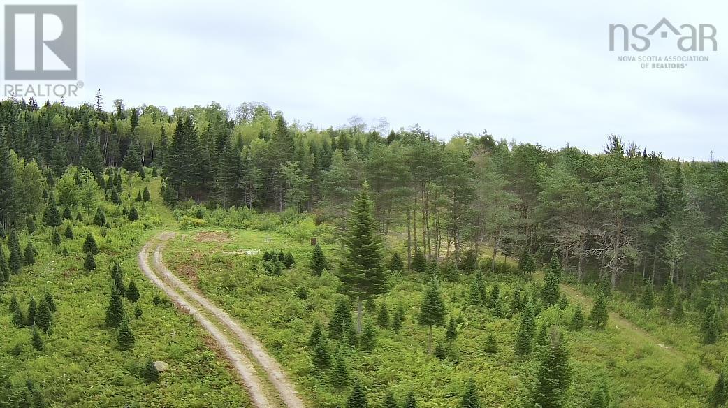 Lot A Hardwood Lake Road Property Photo 25