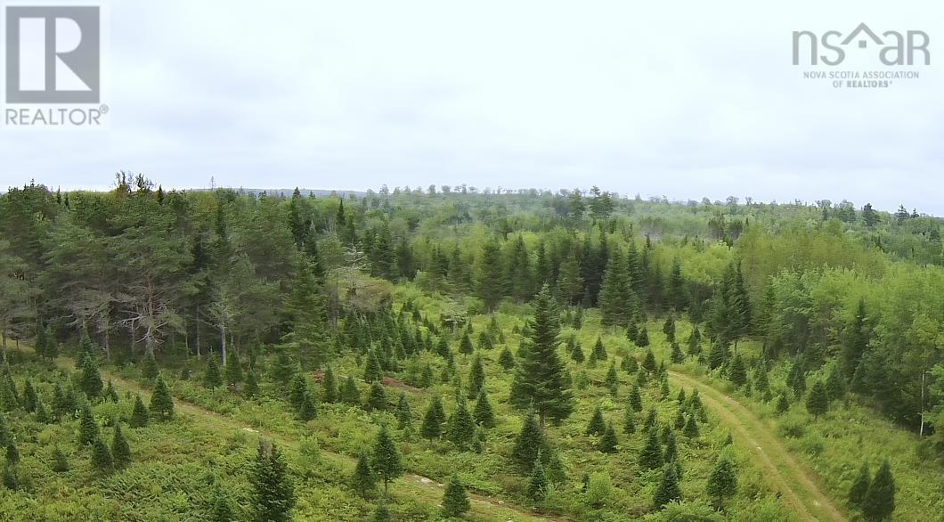 Lot A Hardwood Lake Road Property Photo 26