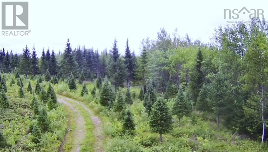 Lot A Hardwood Lake Road Property Photo 27