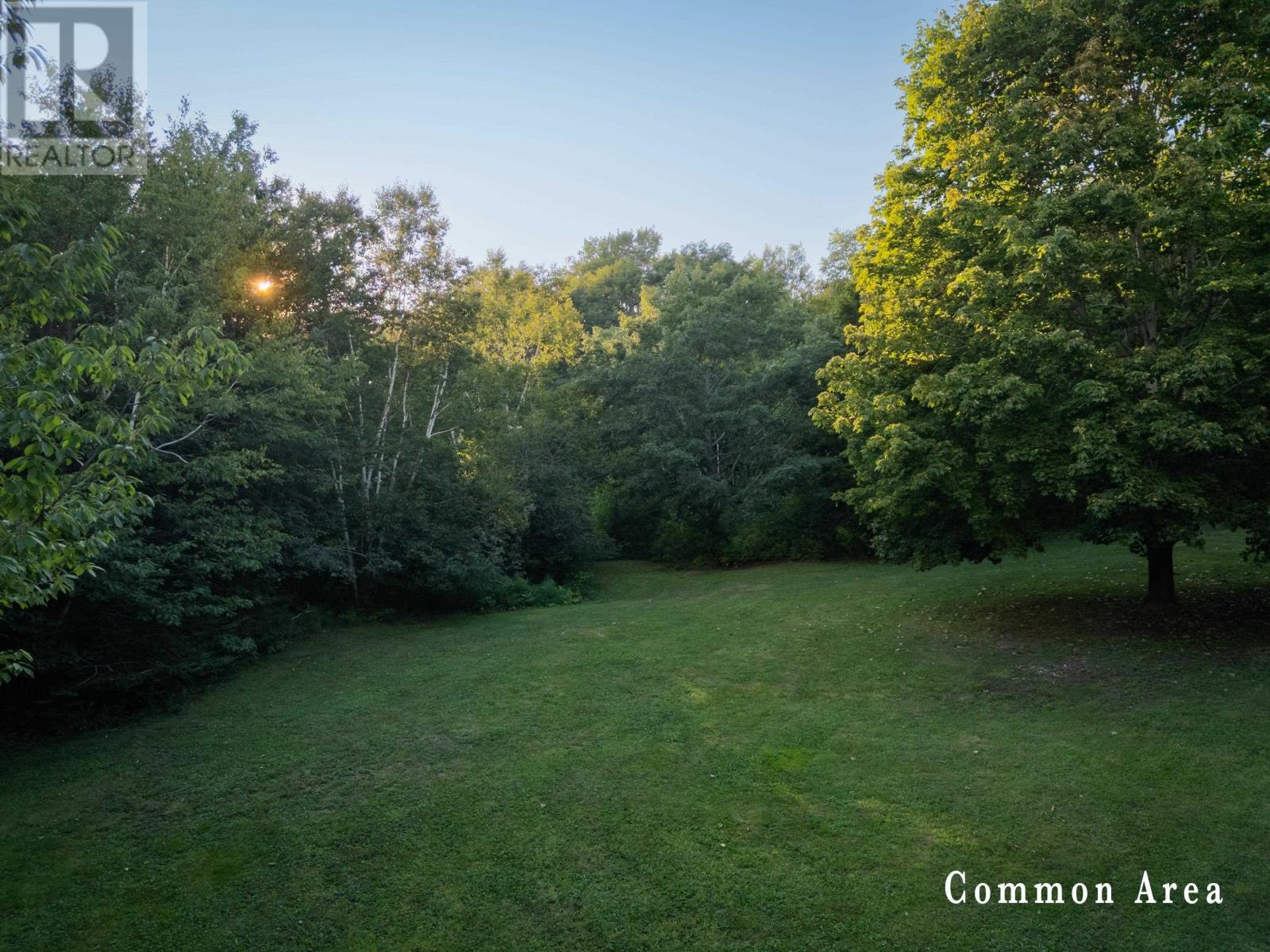 7 Colonial Arms Drive Property Photo 11