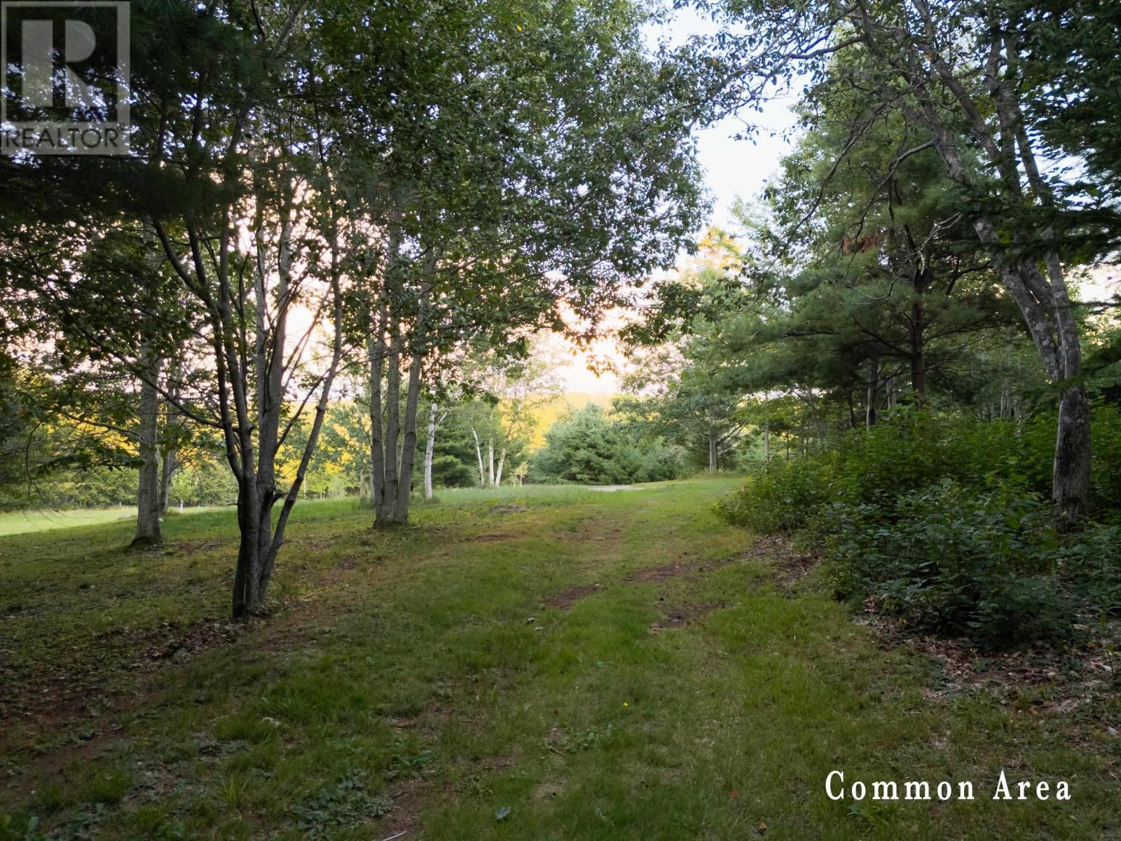 7 Colonial Arms Drive Property Photo 23