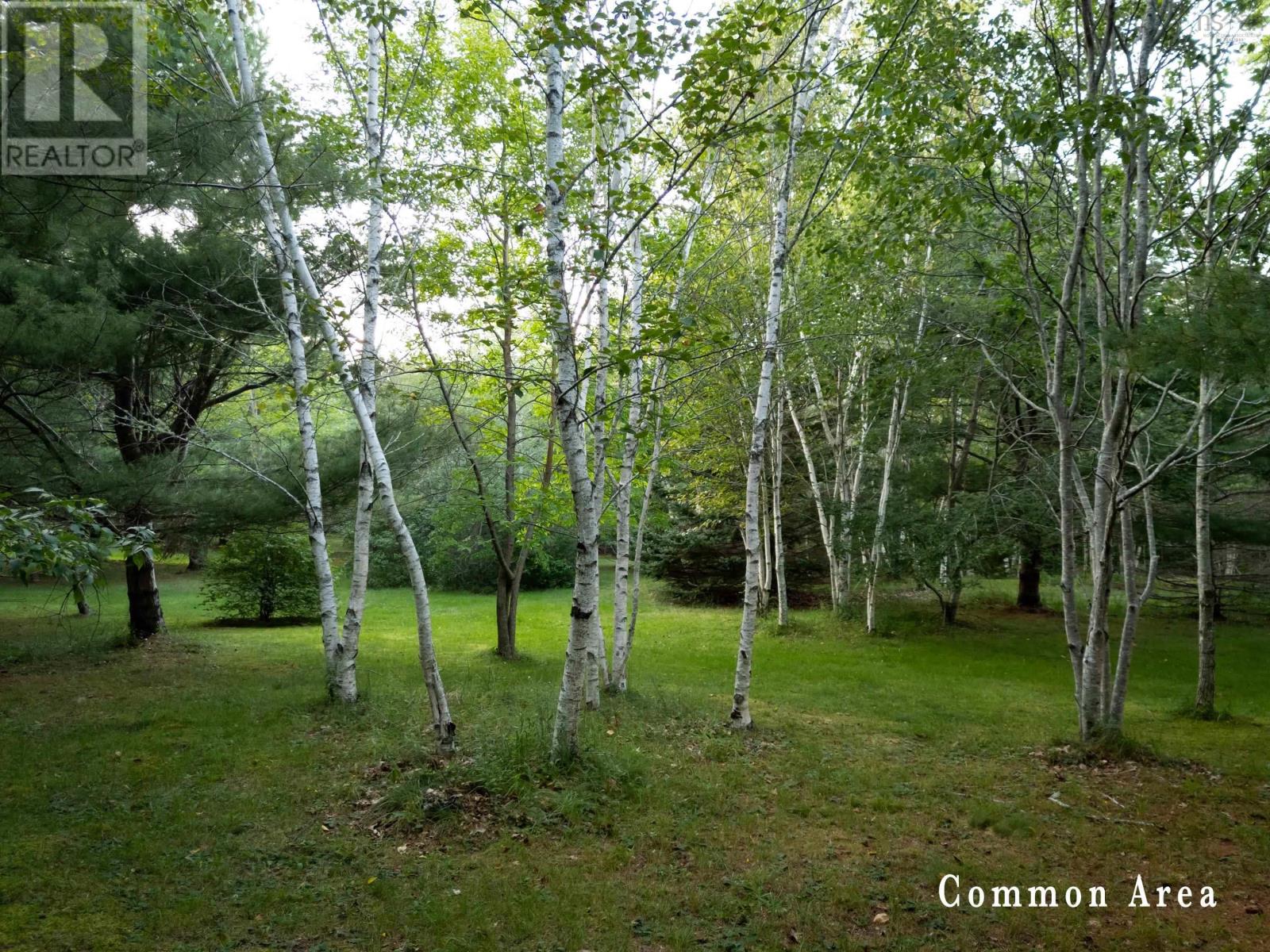 7 Colonial Arms Drive Property Photo 24