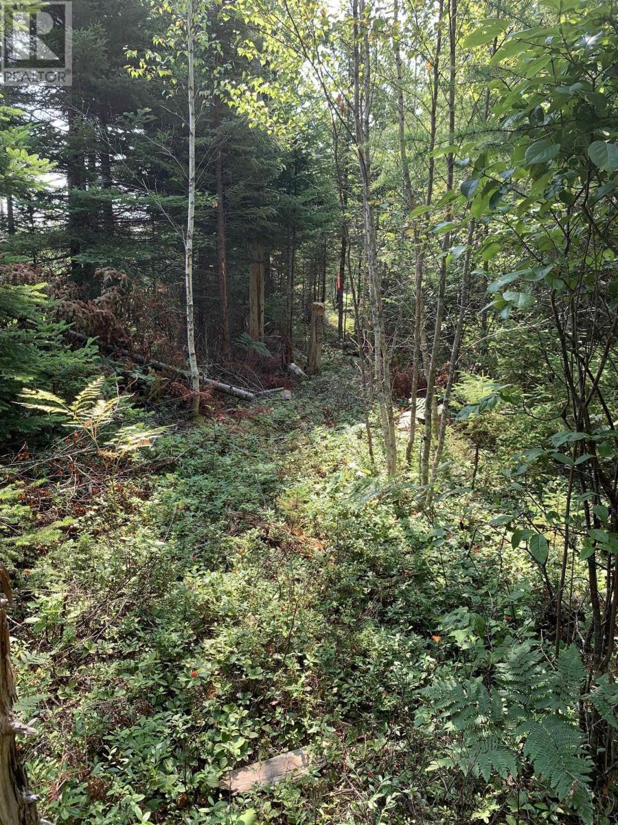 Lot 4b Hunter Road Property Photo 9