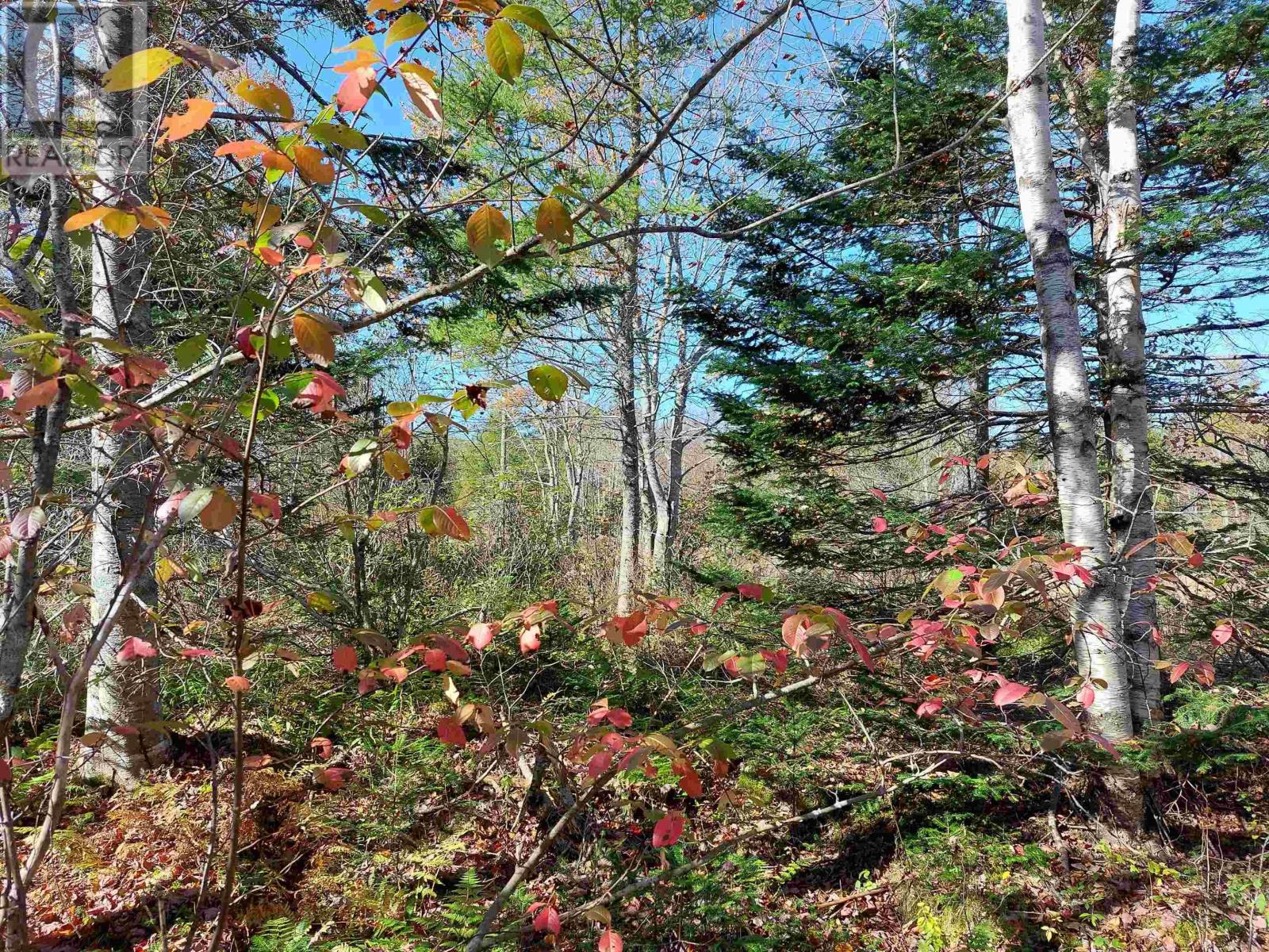 Lot 25 Beaver Lane Property Photo 12