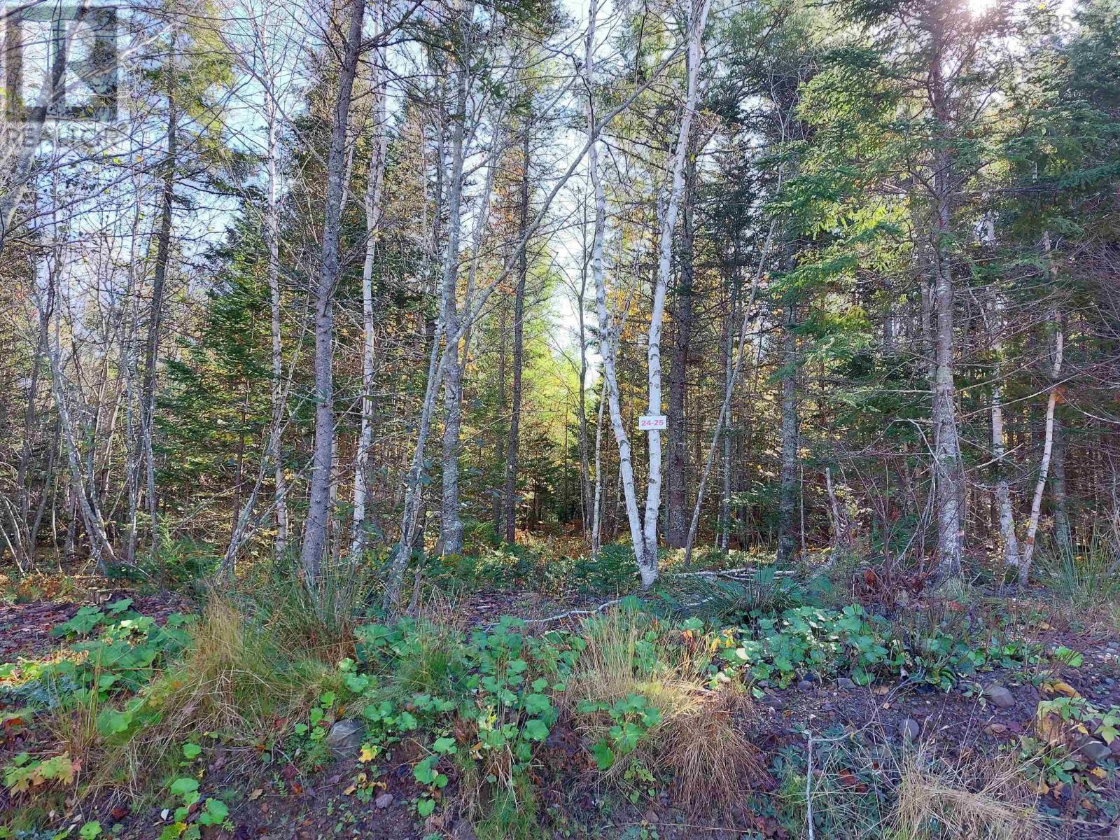 Lot 25 Beaver Lane Property Photo 13