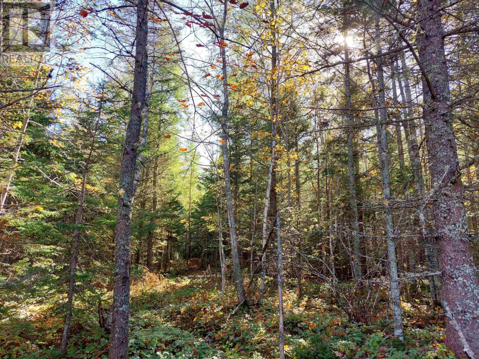 Lot 25 Beaver Lane Property Photo 16