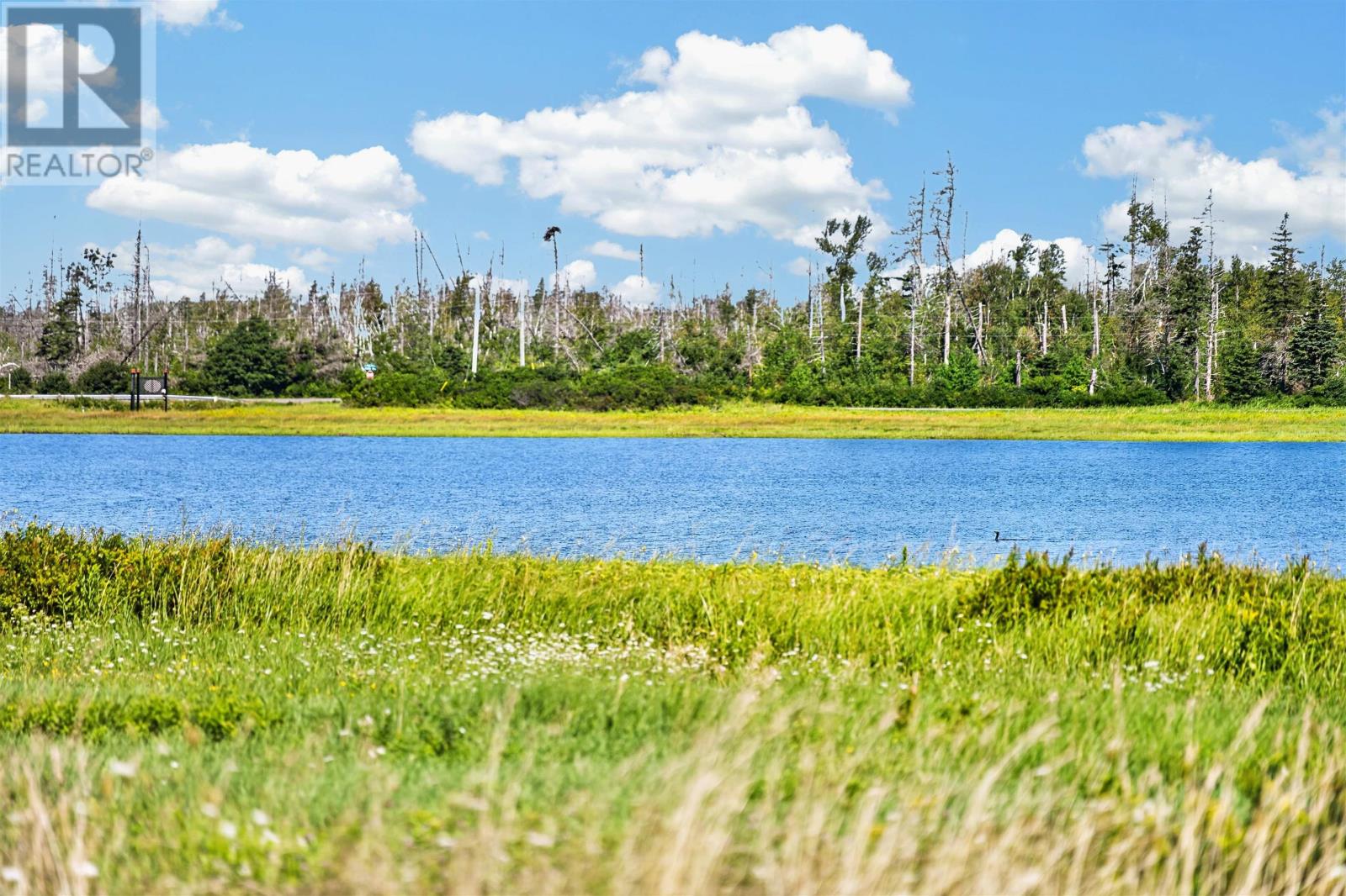 Lot 90 Parkside Drive Property Photo 13