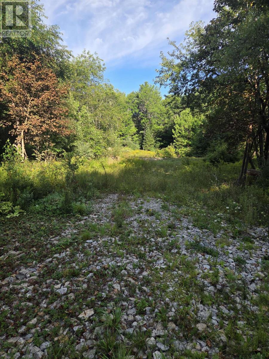 146 Pine Street Property Photo 2
