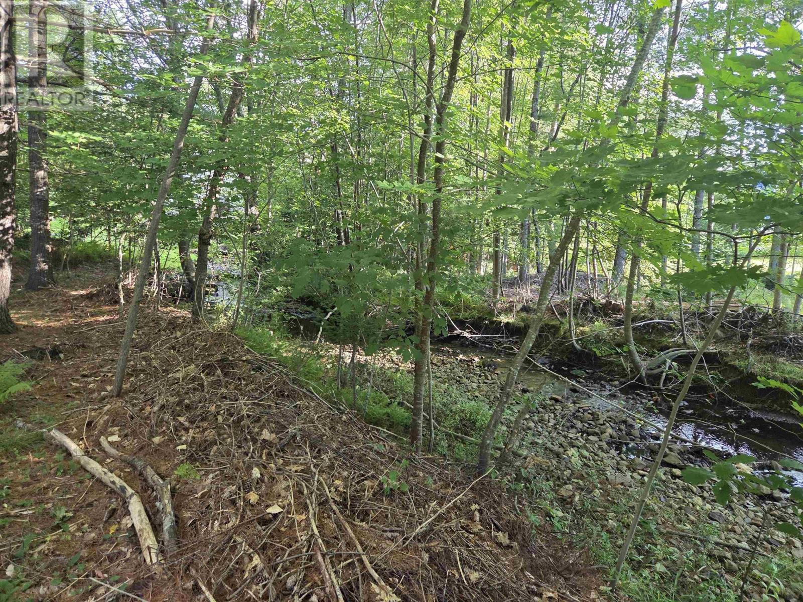 146 Pine Street Property Photo 8