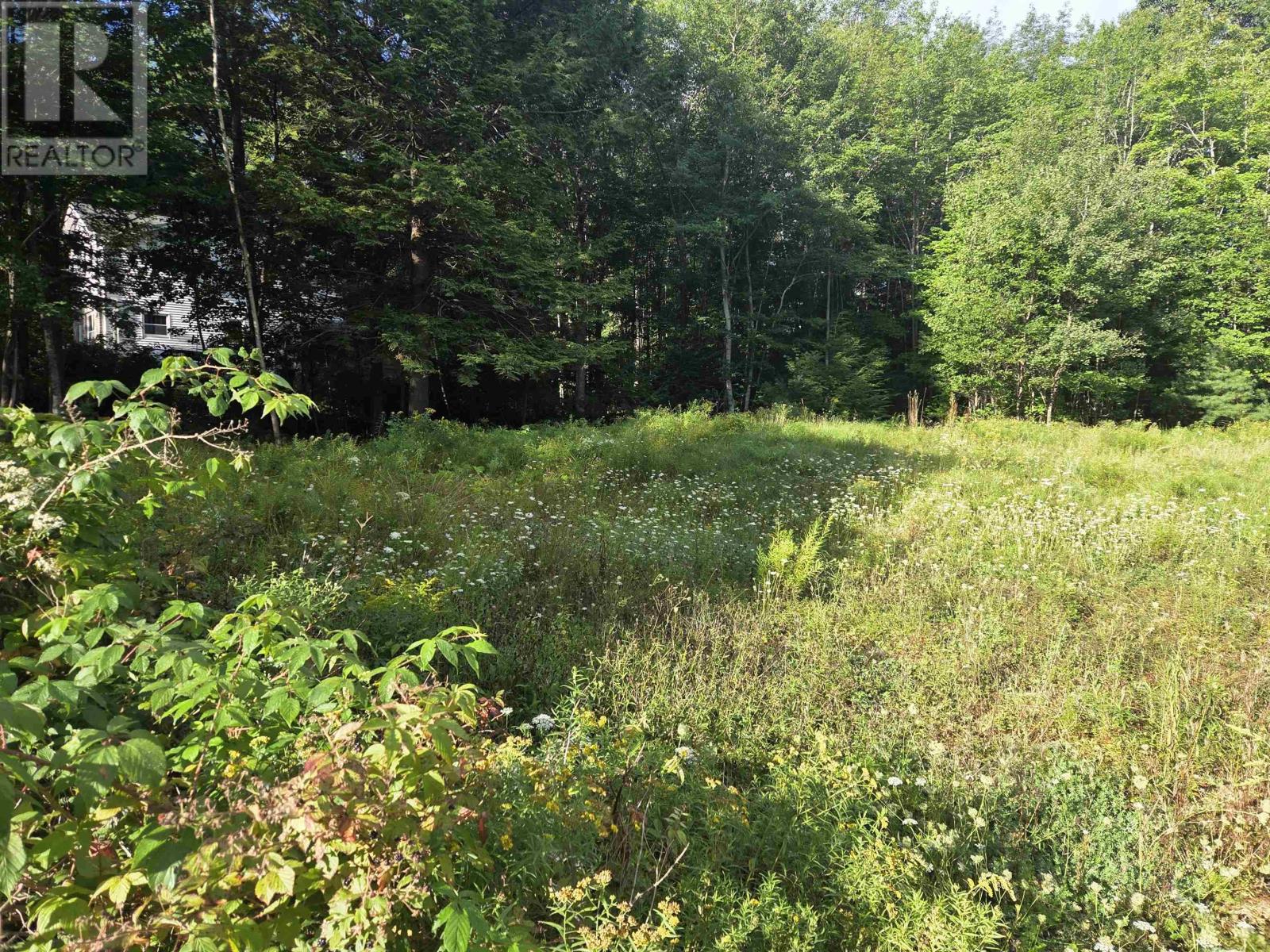 146 Pine Street Property Photo 10
