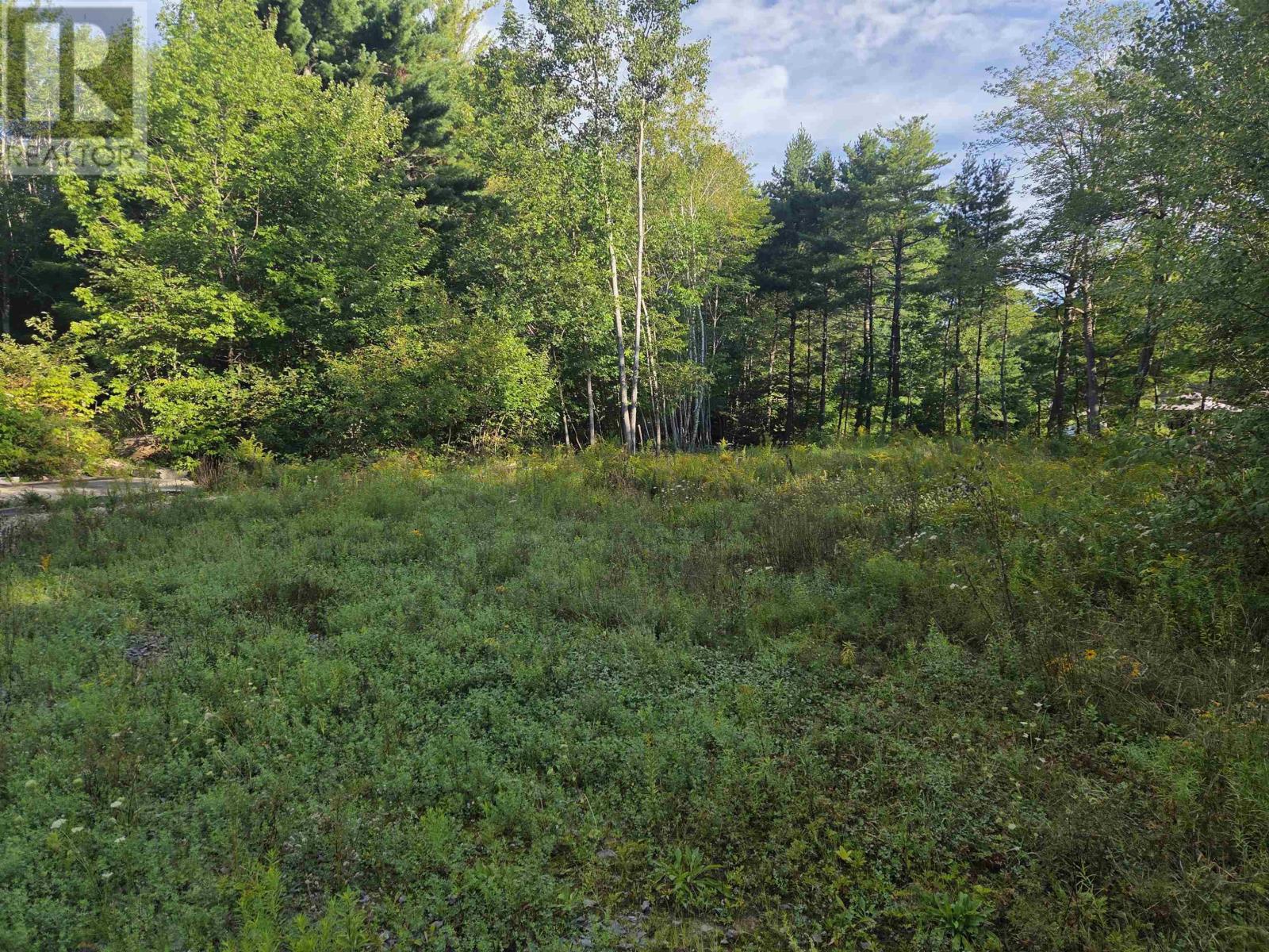 146 Pine Street Property Photo 14