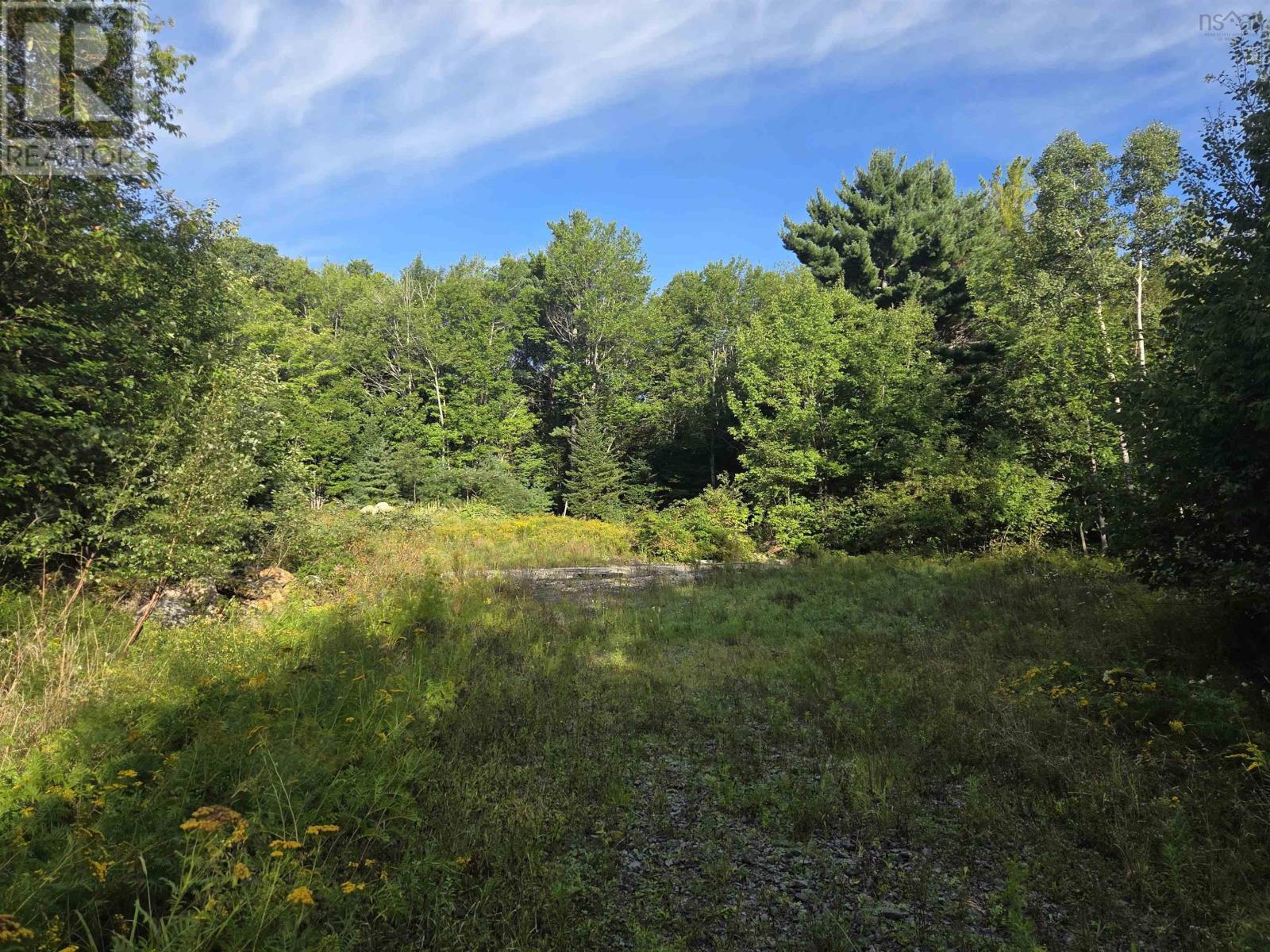 146 Pine Street Property Photo 15