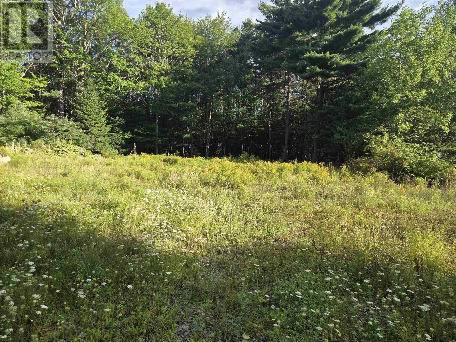 146 Pine Street Property Photo 16