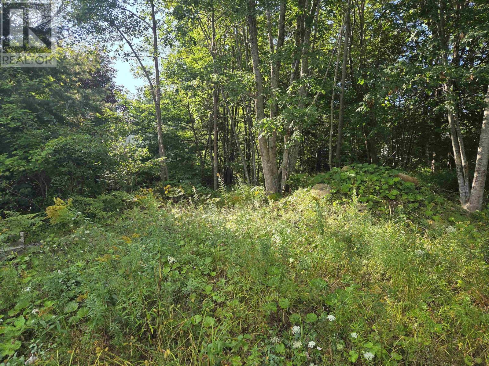 146 Pine Street Property Photo 20