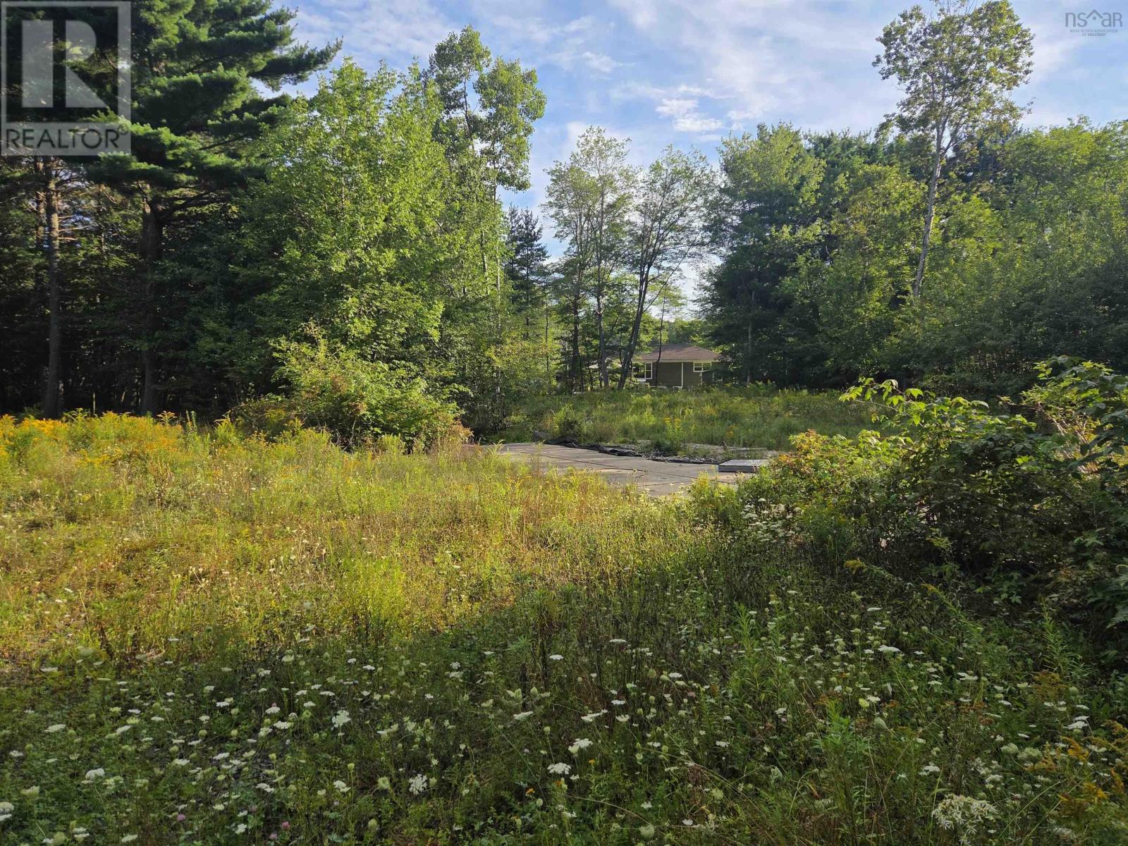 146 Pine Street Property Photo 21