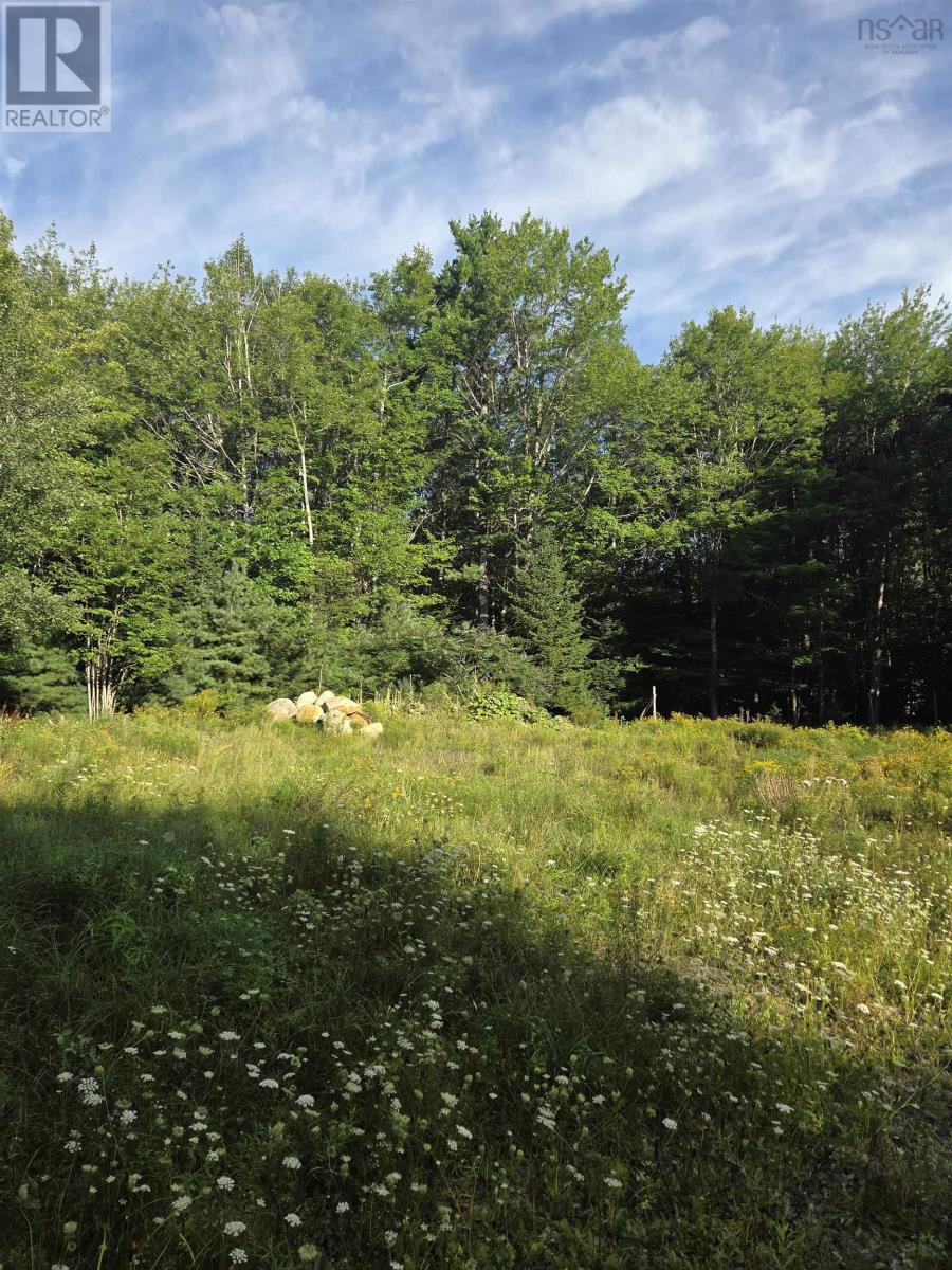 146 Pine Street Property Photo 22