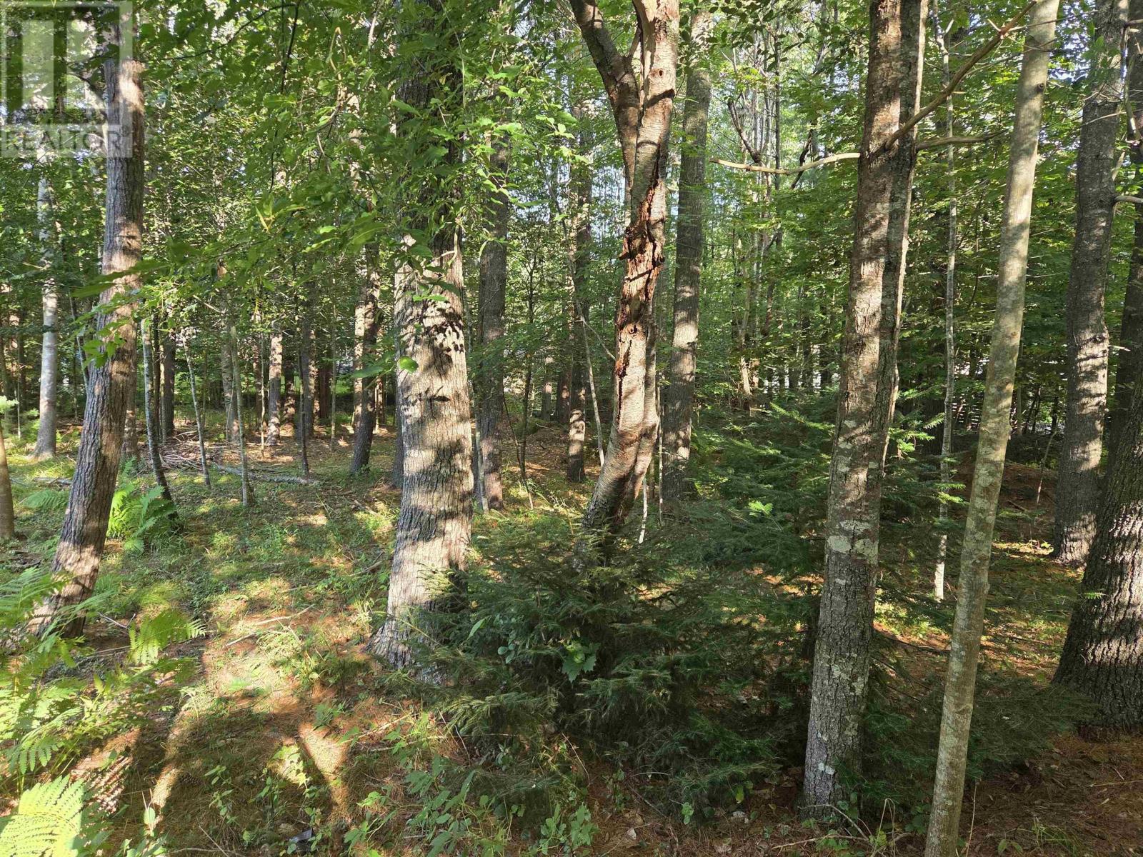 146 Pine Street Property Photo 23