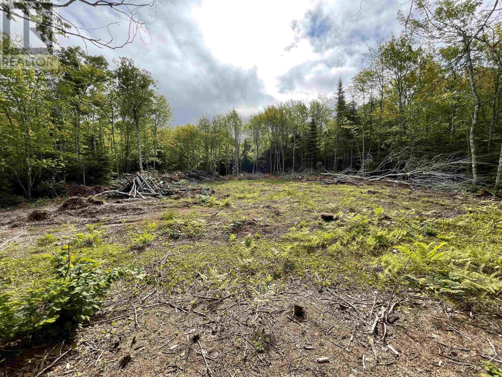 0 Mapleridge Estates Property Photo 3