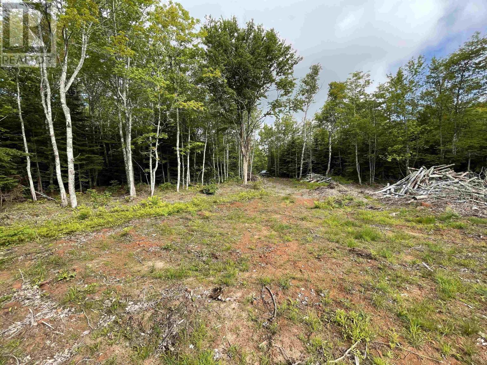 0 Mapleridge Estates Property Photo 8