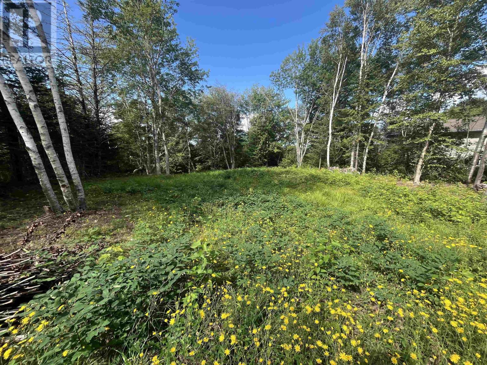Lot 10 Palmer Drive Property Photo 8