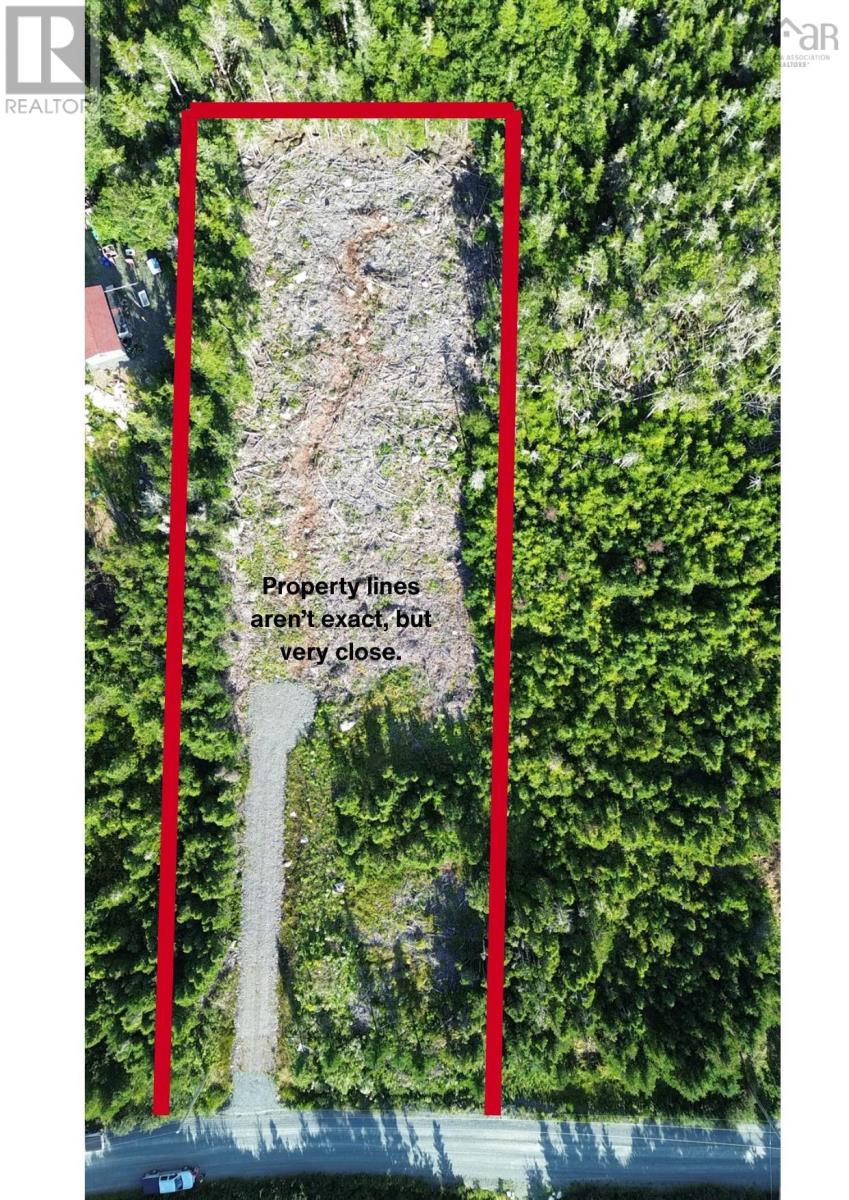 0 Ostrea Lake Road Property Photo 4