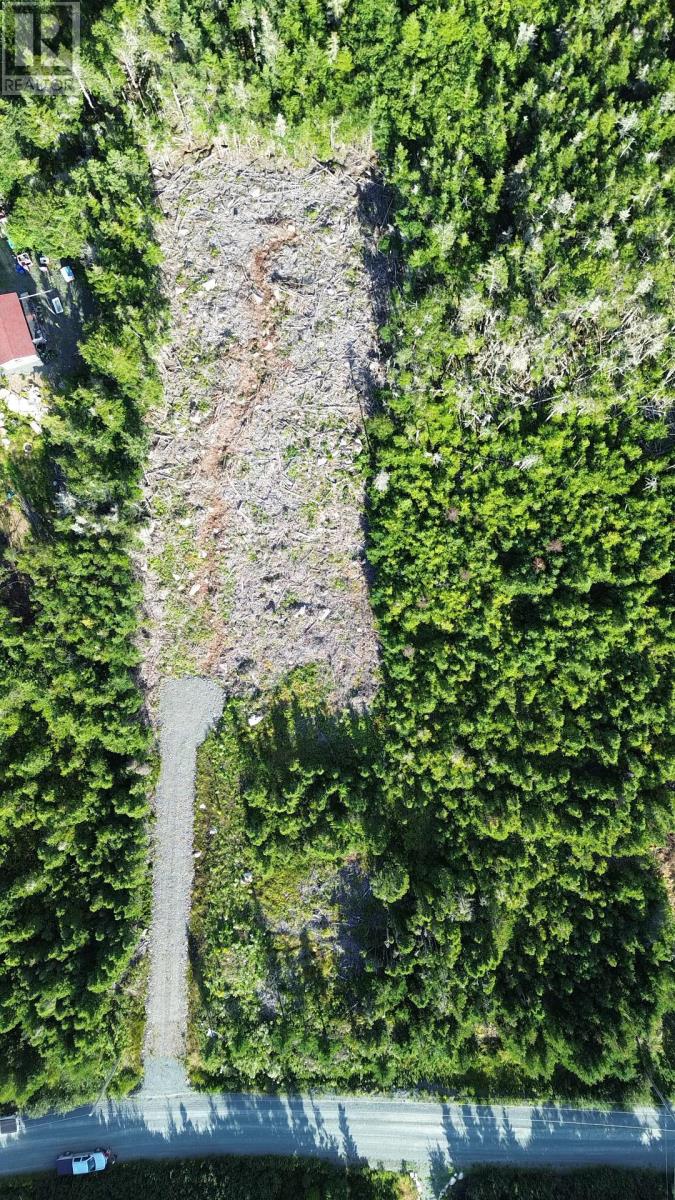 0 Ostrea Lake Road Property Photo 5