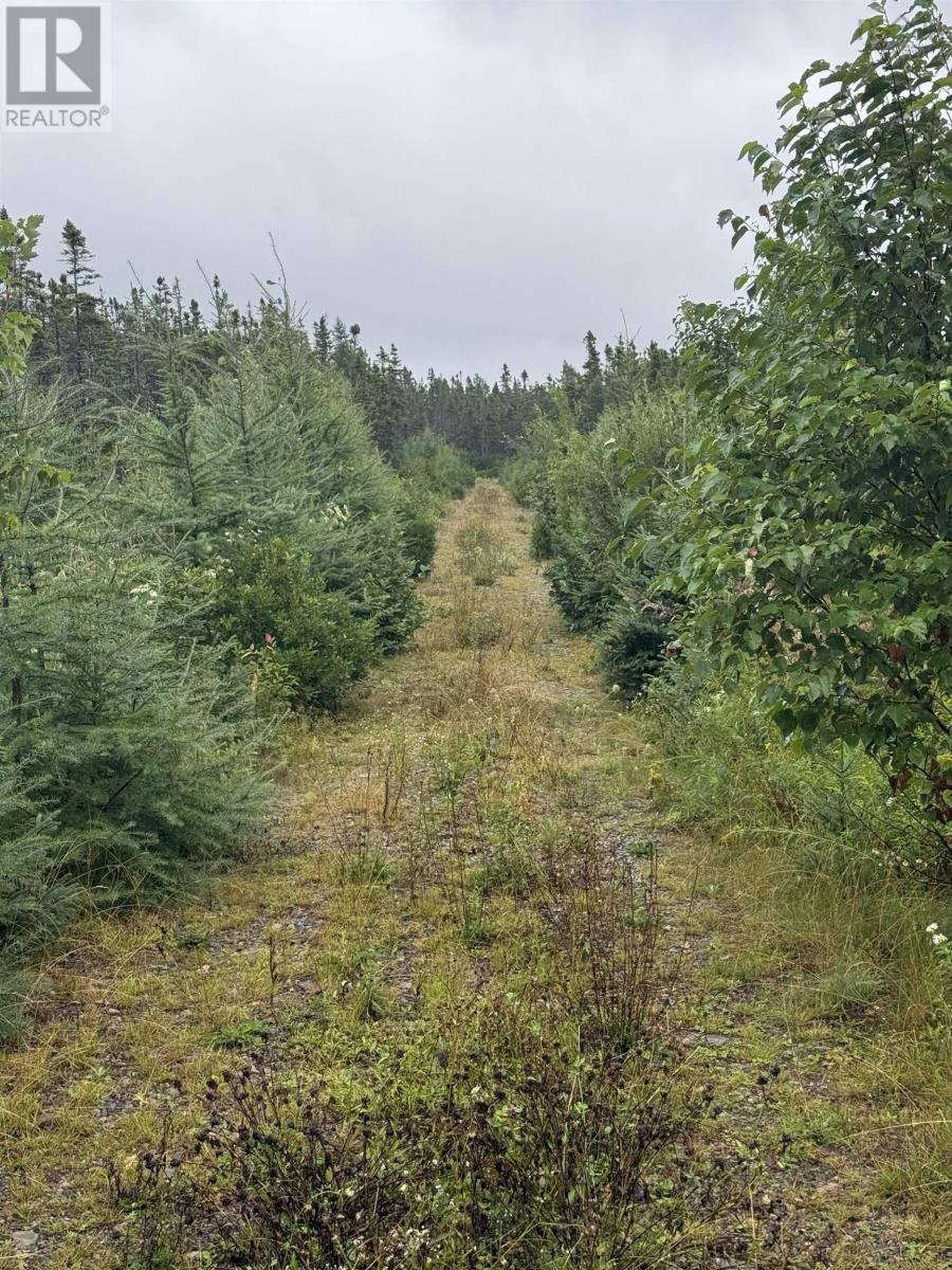 Highway 19 Highway Property Photo 1