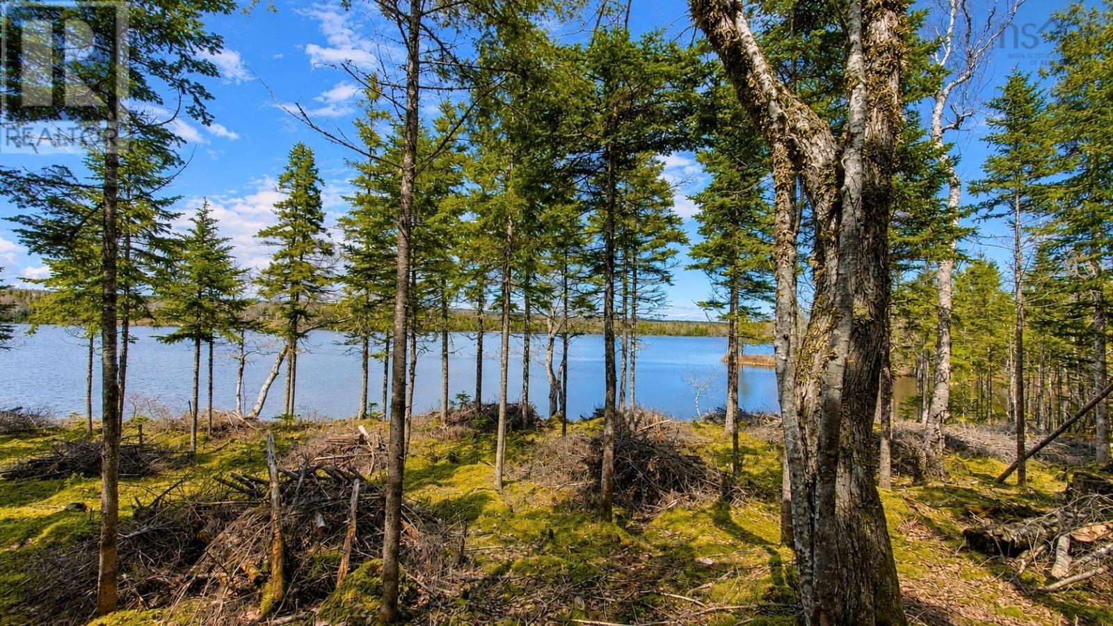 Lot 4 Highway 4 Property Photo 2