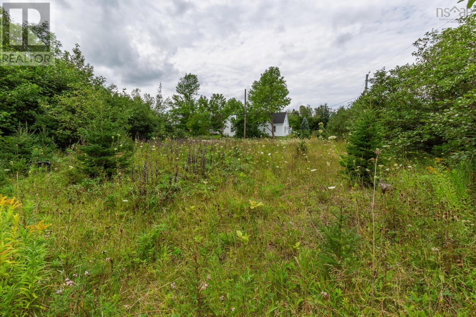 Lot 1 Main Street Property Photo 11