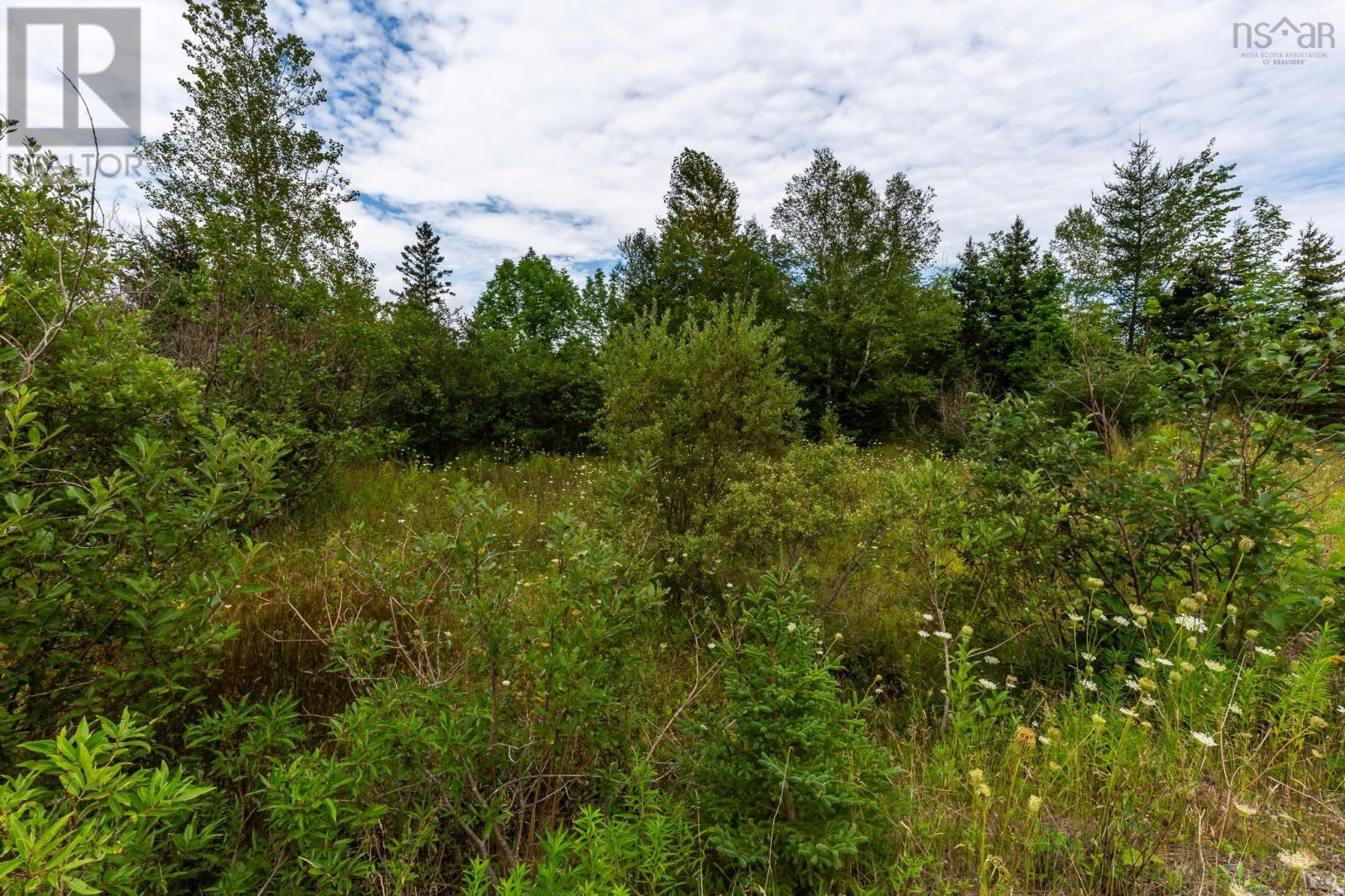 Lot 92-2 Highway 105 Property Photo 9