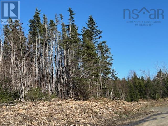 Salmon River Road Property Photo 1