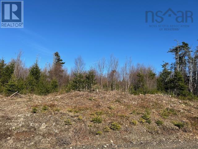 Salmon River Road Property Photo 4