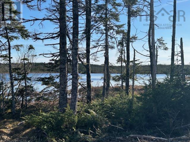 Salmon River Road Property Photo 1
