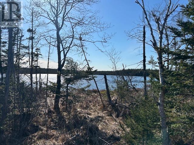 Salmon River Road Property Photo 2