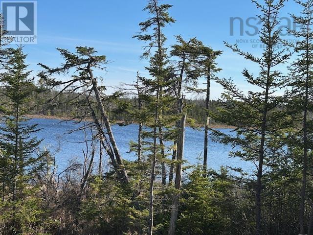 Salmon River Road Property Photo 3