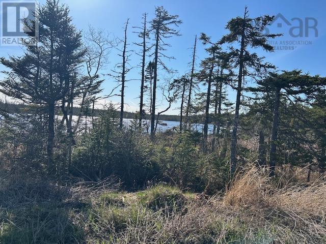 Salmon River Road Property Photo 5