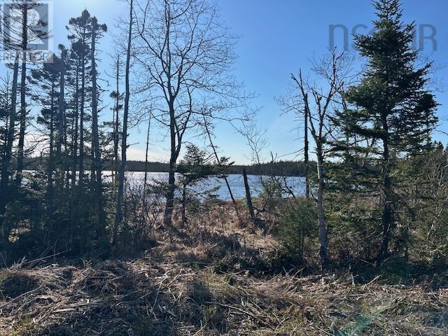 Salmon River Road Property Photo 6
