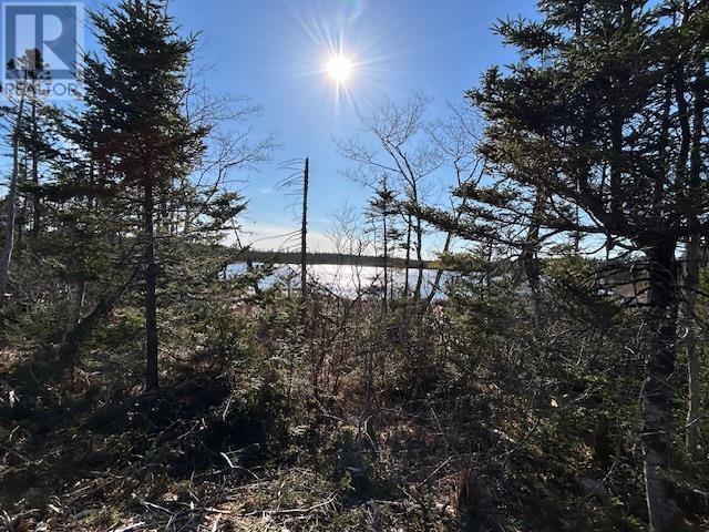 Salmon River Road Property Photo 12