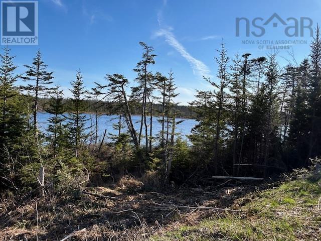 Salmon River Road Property Photo 14