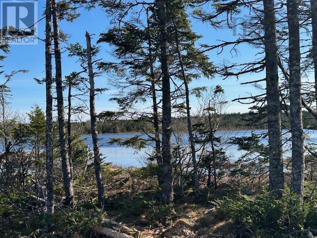 Salmon River Road Property Photo 15