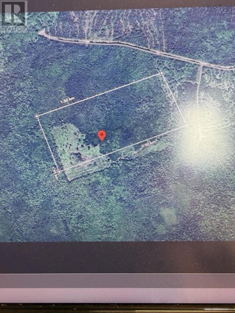 50 Acres On Back Settlement Road, West Lakevale Property Photo 1