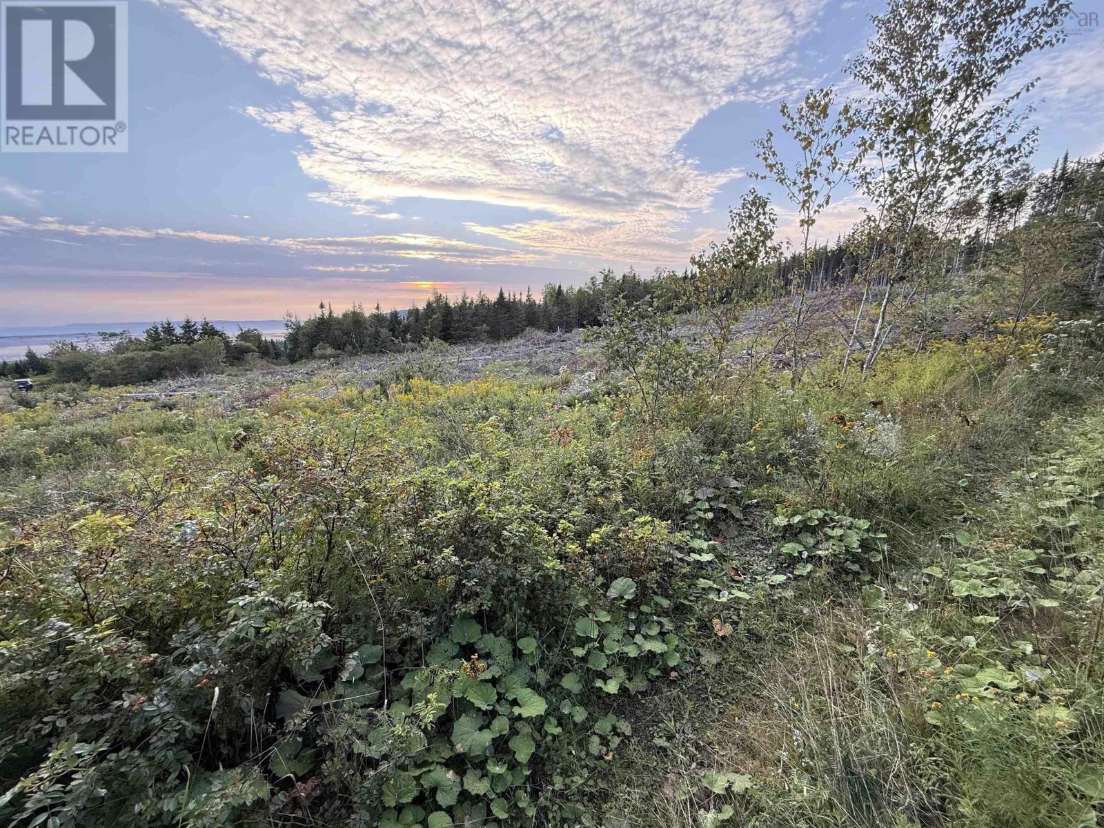 Lot 18-2 River Phillip Road Property Photo 2