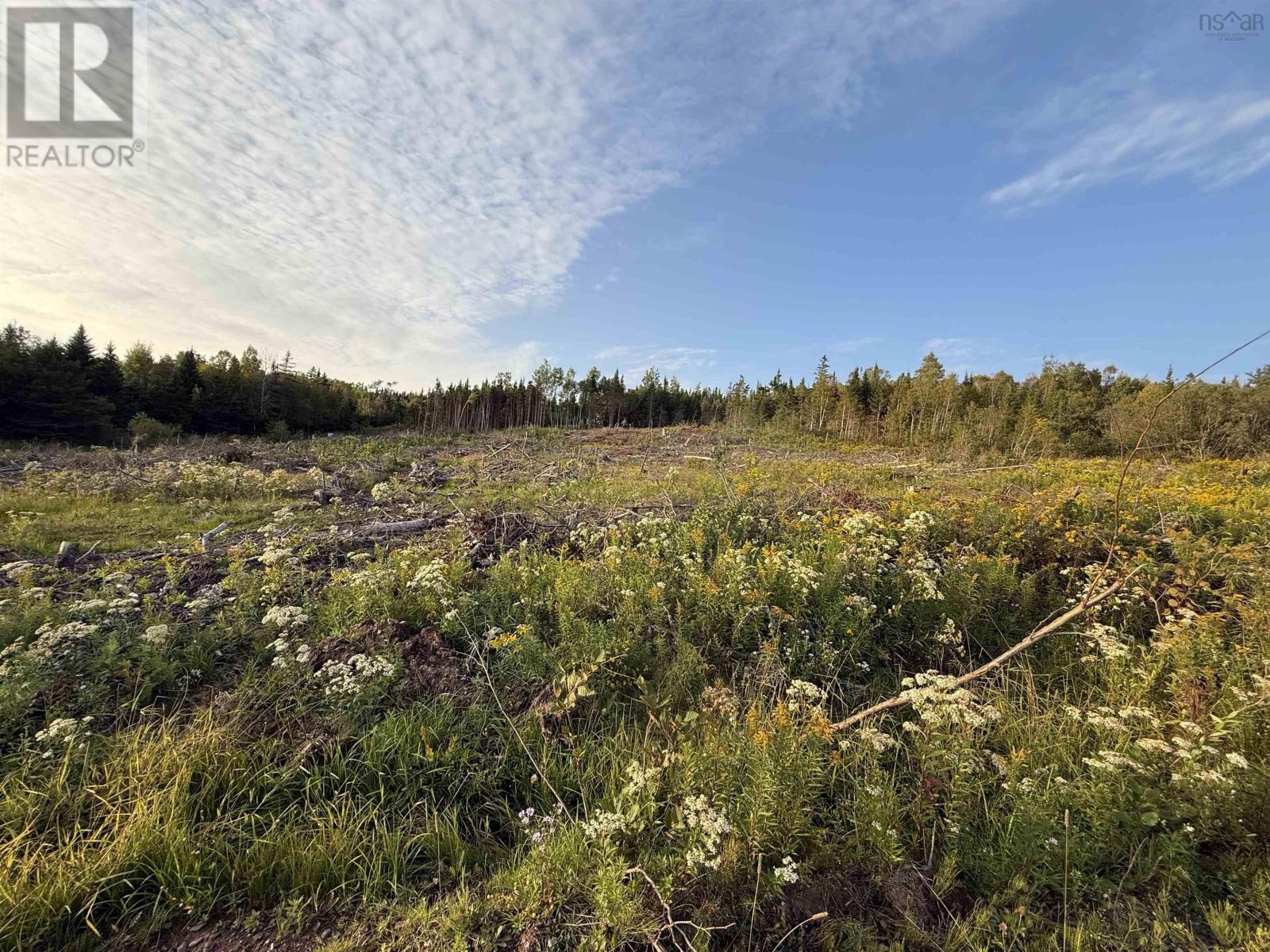 Lot 18-2 River Phillip Road Property Photo 9
