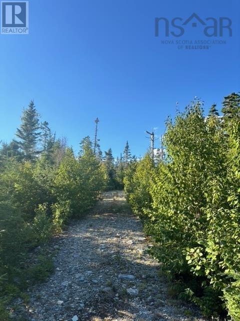 Lot 2 Highway 7 Property Photo 5