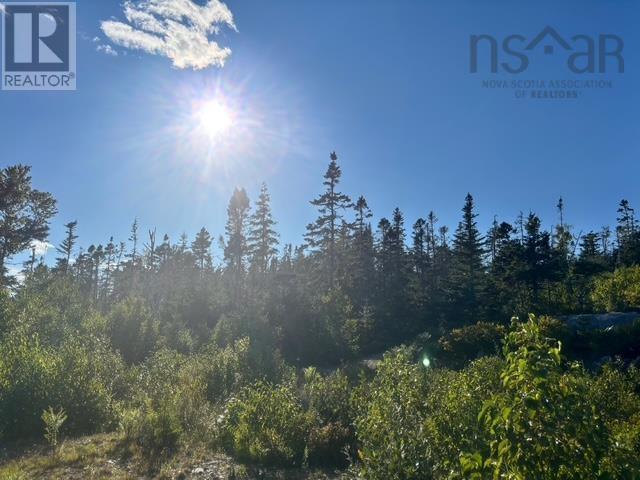 Lot 2 Highway 7 Property Photo 15